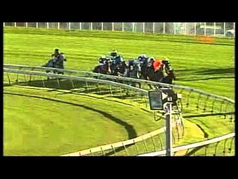 Gr.1 AJC George Main Stakes (1600m)