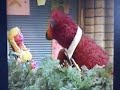 Telly Monster Says No To Captain Hook