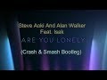 Steve Aoki And Alan Walker Feat. Isak - Are You Lonely (Crash & Smash Bootleg) Steve Aoki And Alan Walker Feat. Isak - Are You Lonely (Crash & Smash Bootleg)