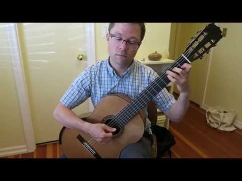 Lesson: Waltz by Carulli Op.121, No.1 for Guitar (Easy)