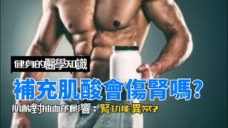 [心得] 吃魚油、精氨酸、肌酸感想