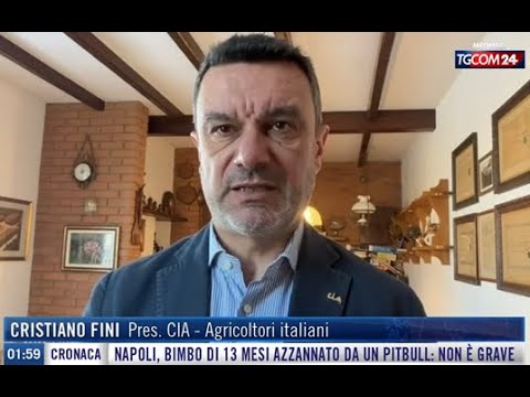 TGCOM 24 - Pac e nuove proposte von der Leyen. L'intervento del presidente nazionale Cia, Fini