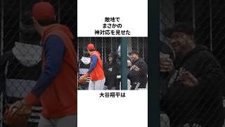 「ホワイトソックスファンにいたずらした」大谷翔平についての雑学　#大谷翔平 #mlb #プロ野球