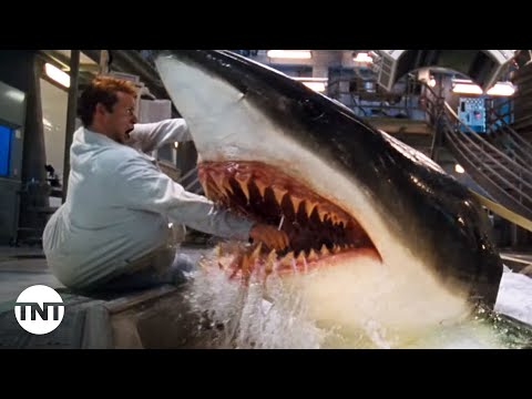Every Shark Attack [MASHUP] | Deep Blue Sea | TNT