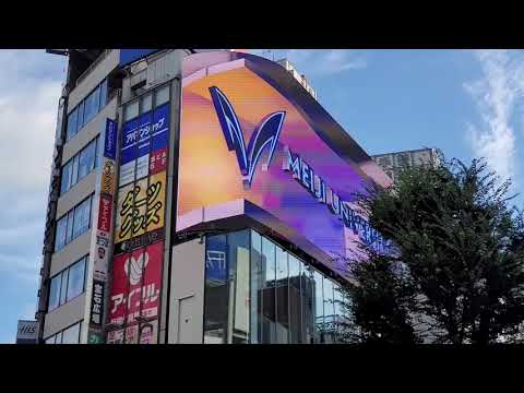 "新宿巨大ネコ"の画面に新たな錯視映像が登場。制作したのはなんと明治大学の1年生！｜明治大学