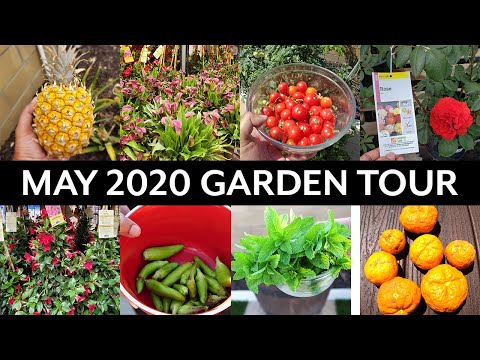 Gardening EPIC Garden Harvests FALL Organic Gardening Prep Garden Tour
