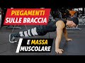 Piegamenti Sulle Braccia E Massa Muscolare