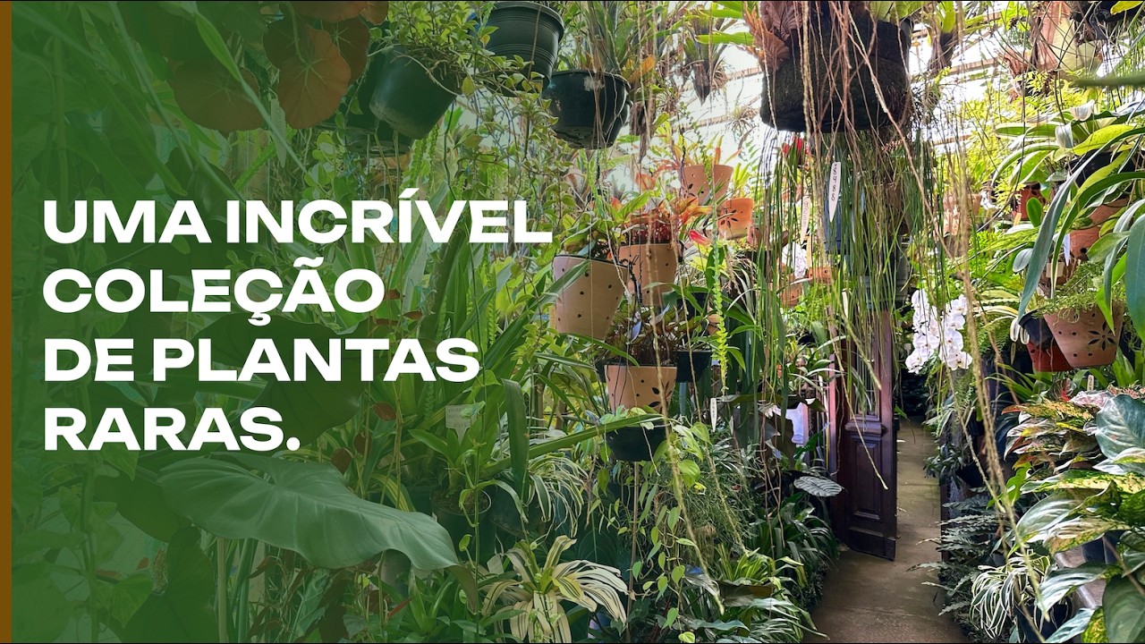 A incrível coleção do Dr Ricardo: Estoril Plantas.