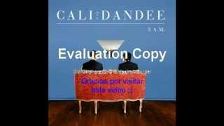 Cali y El Dandee 3 am Letra