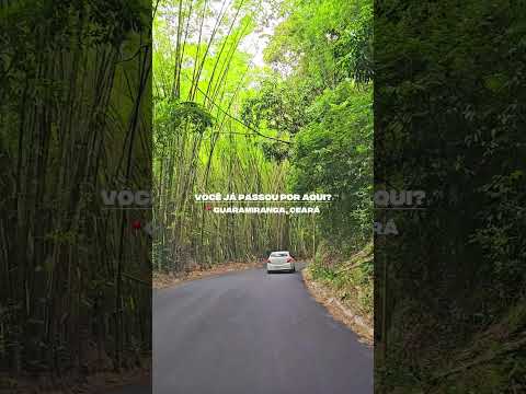 Você já passou por essa estrada incrível em Guaramiranga Ceará? #guaramiranga #Ceará #viagem #serra
