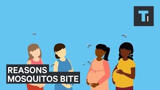 Mosquitoes Bite You If You Do These 5 Things