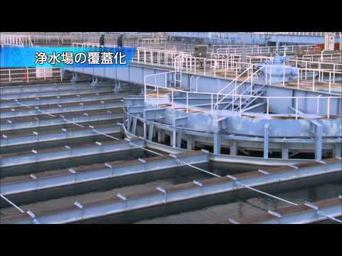 スイミングプールの水を浄化するための革新的な技術