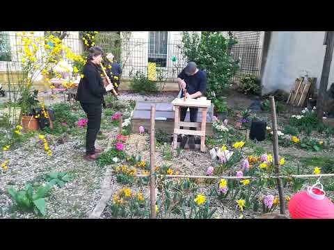 Hanami 2019 -2 : Jardin Anne Franck