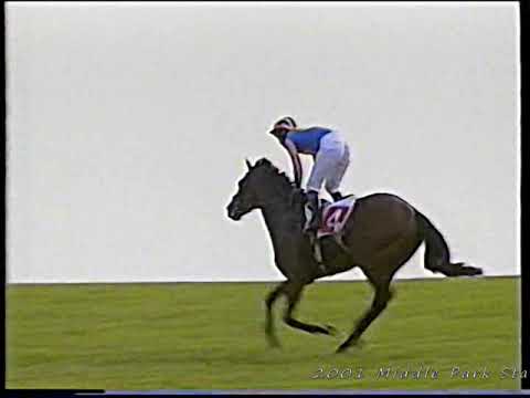 2001 Middle Park Stakes Johannesburg Includes Replay