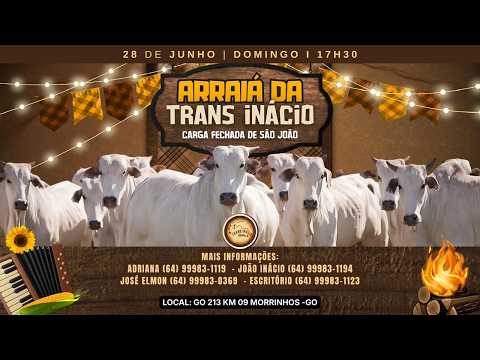 Leilão de Gado em MORRINHOS-GO, 05/07/2026  TransInácio Leilão - 18:00 Hs - Presencial e virtual.