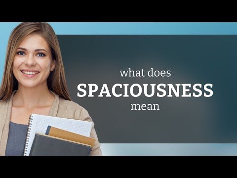 Spaciousness • SPACIOUSNESS meaning