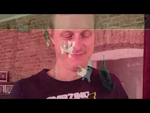 Reis naar molkom 2020