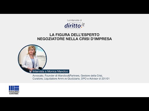 Nuova figura dell'esperto negoziatore nella crisi d'impresa