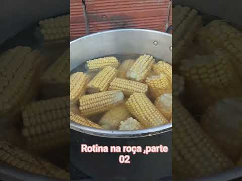 Rotina no Sítio Divino Paraíso ,Simplício Mendes Piauí .