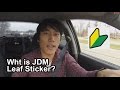 True Meaning of JDM Leaf Sticker - Vlog #2 