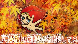 広葉樹の紅葉が紅葉してる
