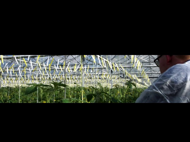 youtube video background