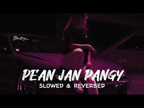 PEAN JAN PANGY slowed and reverbed song ❤️🌸@MrBeast @SidhuMooseWalaOfficial