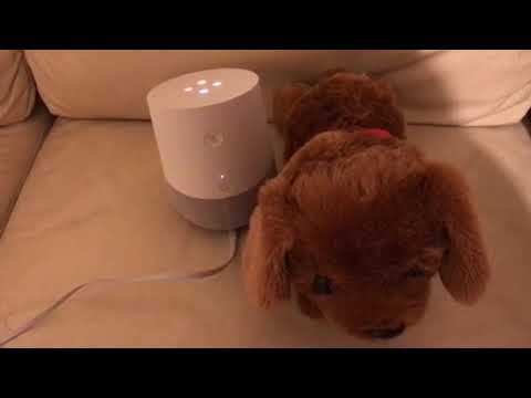 会計学科 OK Google こんばんは！とAIスピーカーGoogle Homeに挨拶した！スマホの次の端末これだ！木村勝則滋賀県高島市！