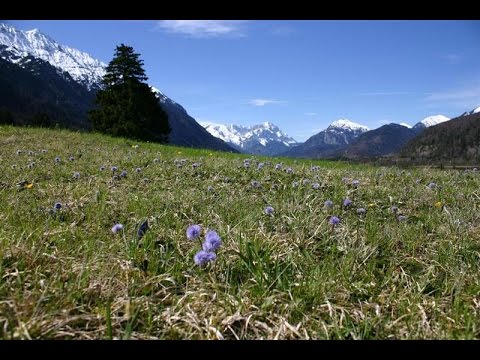Zum Frühling. "Über die Geduld" von Rainer Maria Rilke