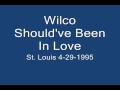 Wilco - Should've Been In Love - 4-29-1995.wmv