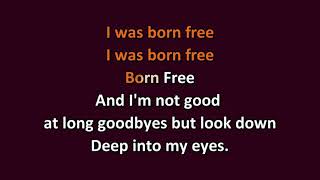 Kid Rock   Born Free w/lyrics