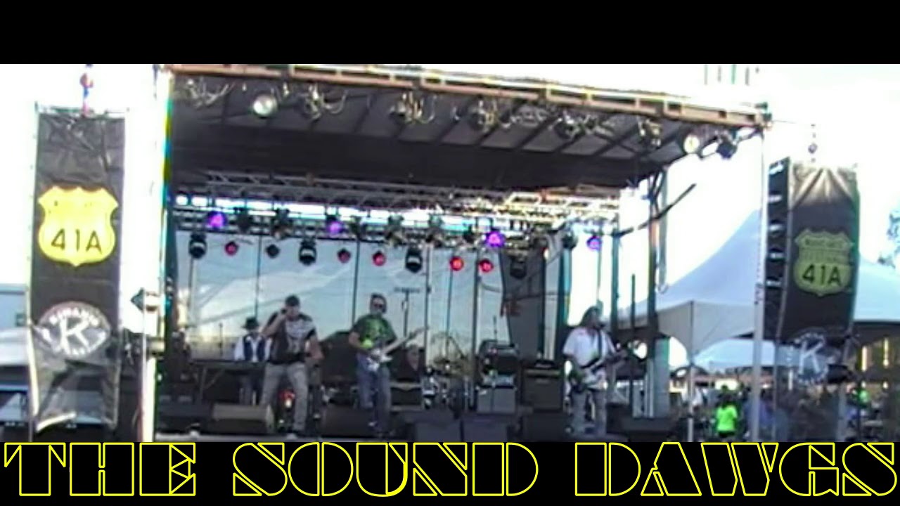 Promotional video thumbnail 1 for The Sound Dawgs