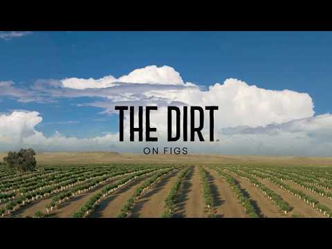 , title : 'The Dirt on Figs by Daily Harvest'
