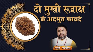 2 mukhi rudraksha benefits ||दो मुखी रुद्राक्ष के फ़ायदे || How To use 2 mukhi rudraksha