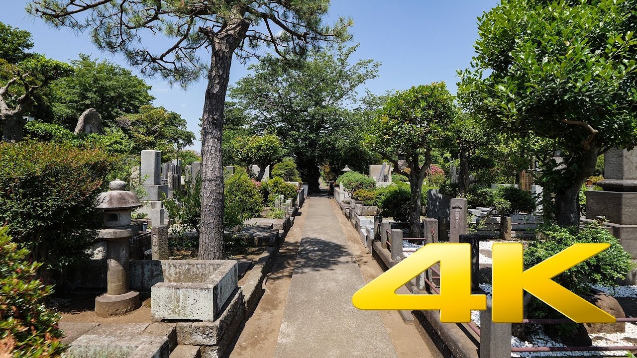 Walking around Joshinji temple cemetery