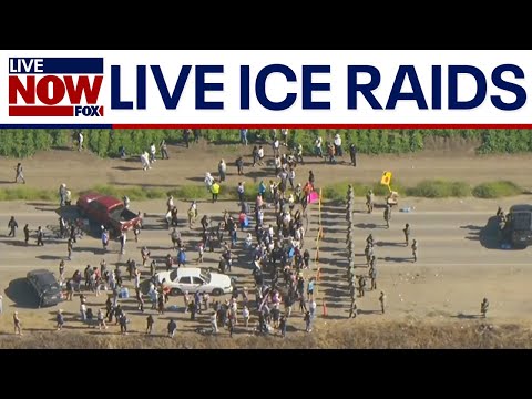 Video | SKYFOX: ICE operations in New York City