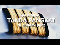 Apa Arti TANDA PANGKAT Di Pundak Pilot - TANYA PILOT Apa Arti TANDA PANGKAT Di Pundak Pilot - TANYA PILOT