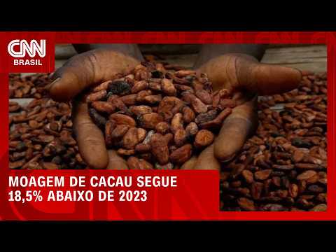 Moagem de cacau segue 18,5% abaixo de 2023, apesar de reação no trimestre | CNN AGRO NEWS