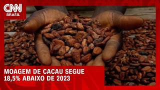 Vídeo: Moagem de cacau segue 18,5% abaixo de 2023, apesar de reação no trimestre | CNN AGRO NEWS
