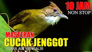 Download lagu MASTERAN CUCAK JENGGOT DURASI 10 JAM, CEPAT MASUK KEBURUNG KACER, MURAI BATU, CUCAK IJO mp3