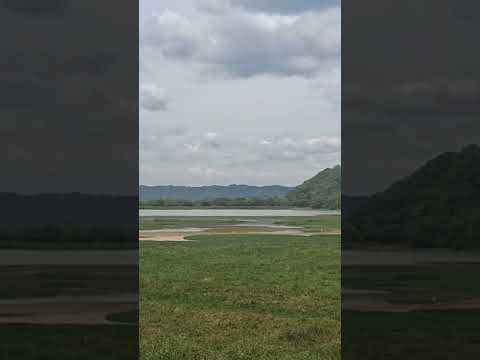 Cienaga del Totumo, Luruaco - Atlantico...❤️🇨🇴
