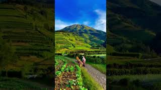 Download lagu #PEMANDANGAN_INDAH#SHORT# mp3