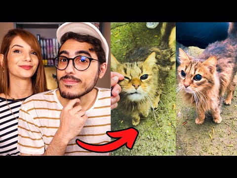 HO ADOTTATO UNA GATTA A DISTANZA!