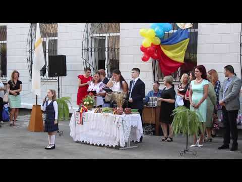 Bun venit la școală -- Crina Crîlov