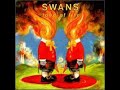 Swans -  In the Eyes of Nature