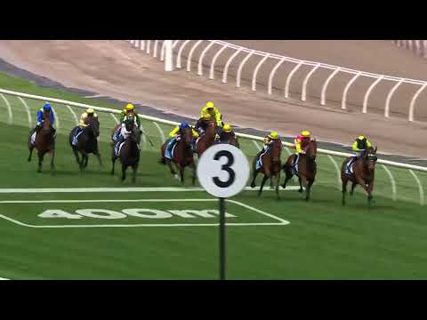 Chester Manifold Stakes 2025 - APULIA (Hcp LR) Listed Flemington 6 November