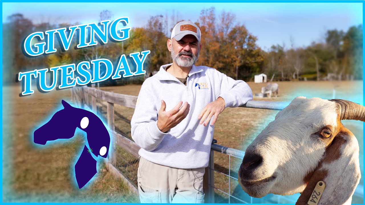 Our 2025 Giving Tuesday Plans! - Hero Kids Foundation