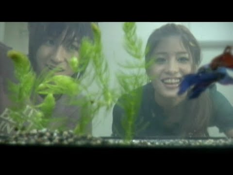 Ame Nochi Niji Iro Instrumental - Major