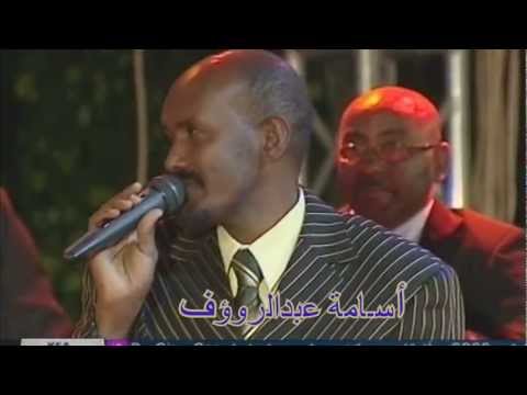 عصام محمد نور الطير المهاجر روعة