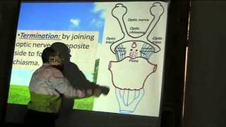 13) Dr.Sherif Zaky 02/11/2014 [ The Orbit ]